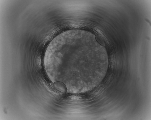 X0000100420500200806271510