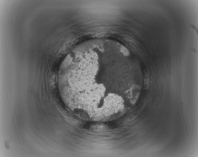 X0000100420503200806271510