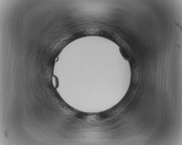 X0000100420505200806271510