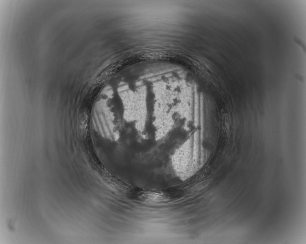 X0000100420507200806271510