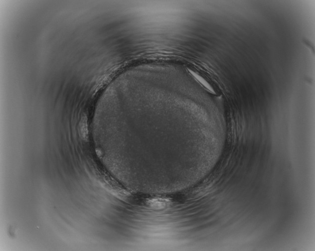 X0000100420508200806271510