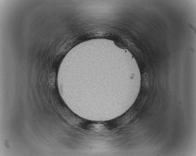 X0000100420509200806271510