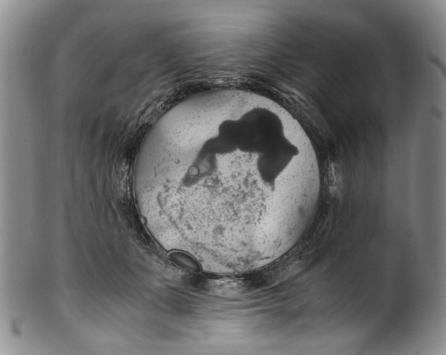 X0000100420511200806271510