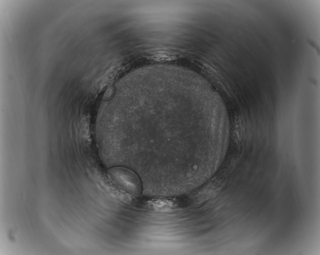 X0000100420512200806271510