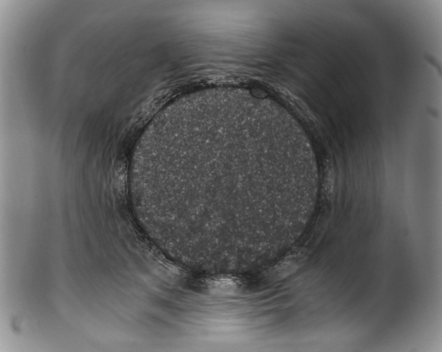 X0000100420513200806271510