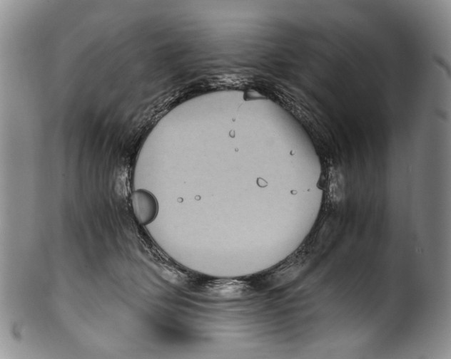 X0000100420514200806271510