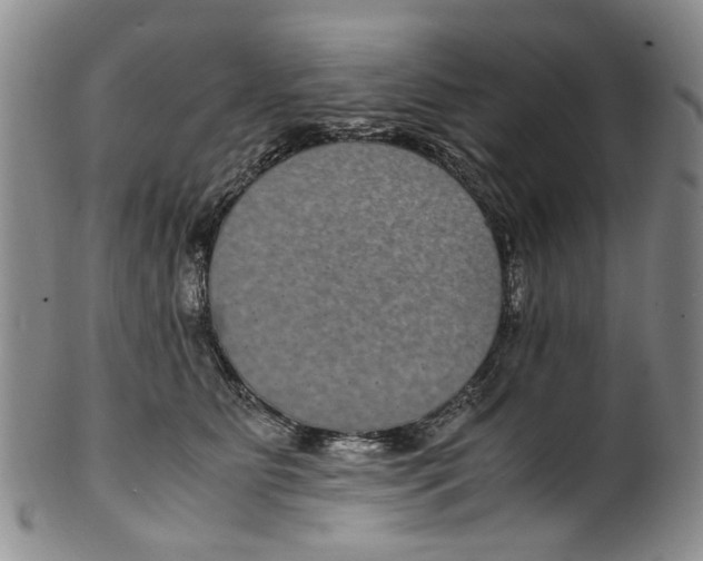 X0000100420515200806271510