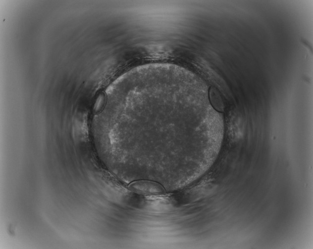 X0000100420516200806271510