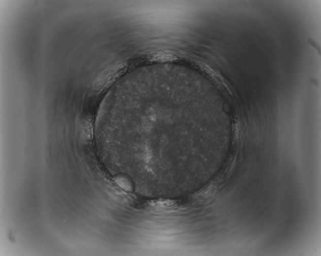 X0000100420517200806271510