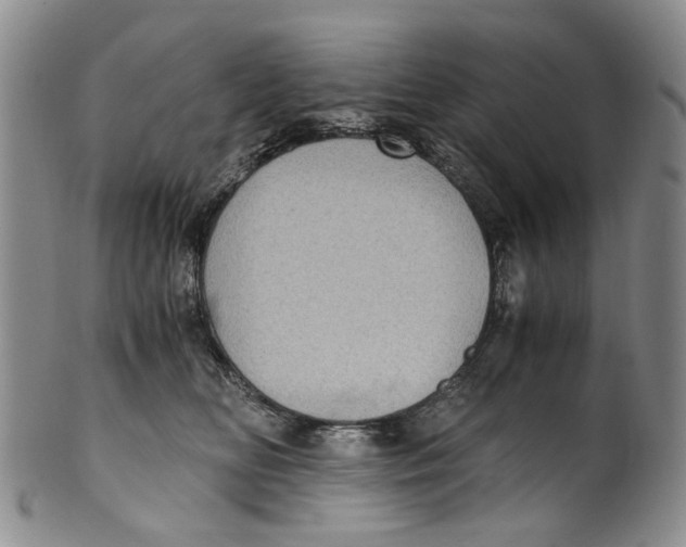 X0000100420518200806271510