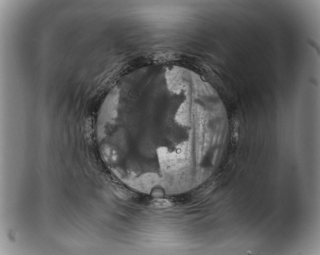 X0000100420519200806271510