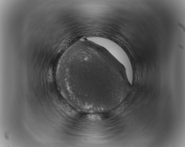 X0000100420520200806271510