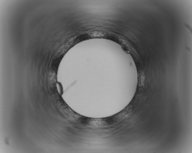 X0000100420521200806271510