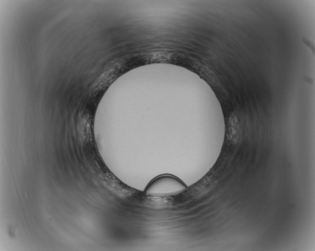 X0000100420522200806271510