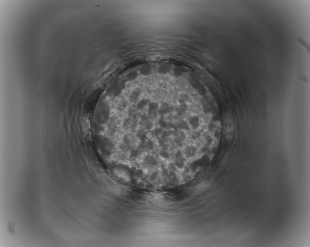 X0000100420523200806271510