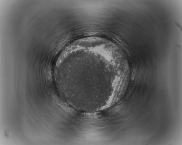 X0000100420524200806271510