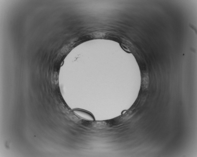 X0000100420525200806271510