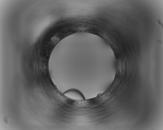 X0000100420526200806271510