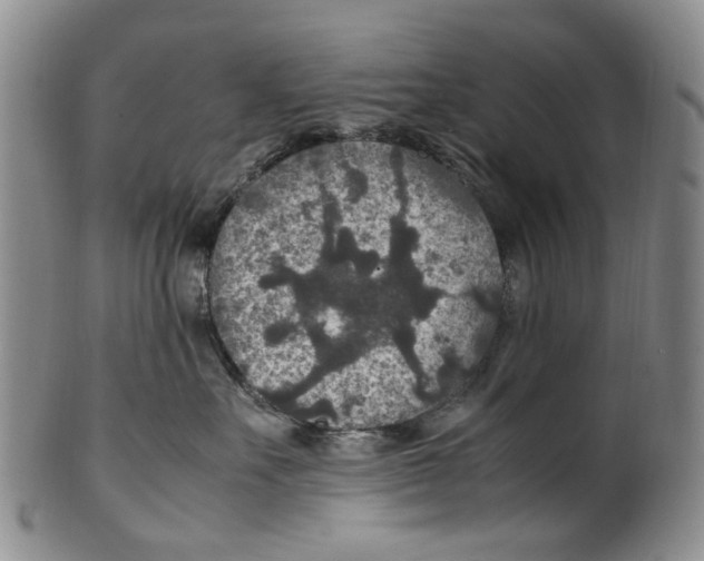 X0000100420527200806271510