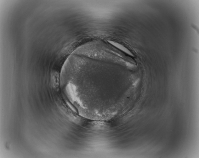 X0000100420528200806271510