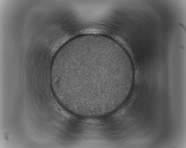 X0000100420529200806271509