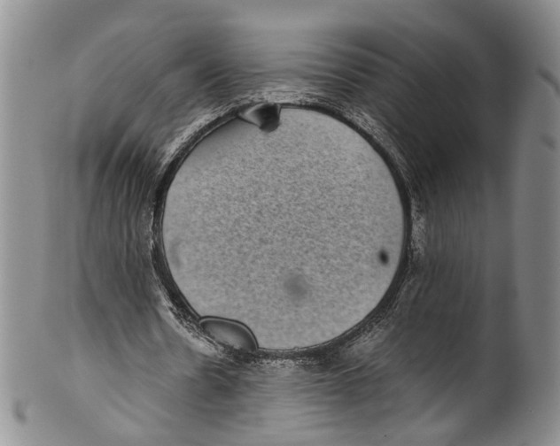 X0000100420530200806271509