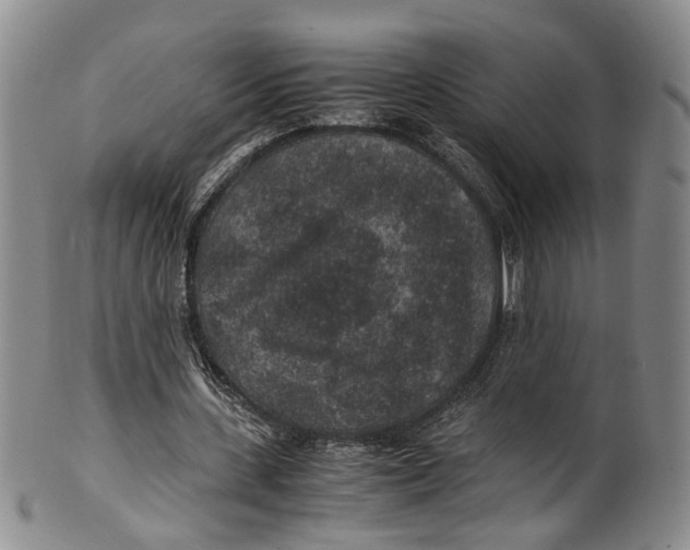 X0000100420531200806271509