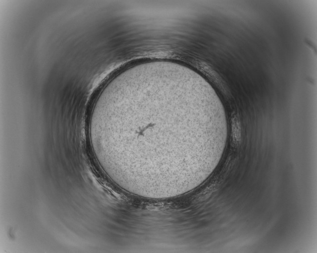 X0000100420532200806271509