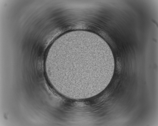 X0000100420534200806271509