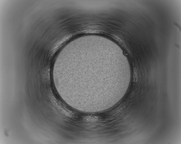 X0000100420535200806271509