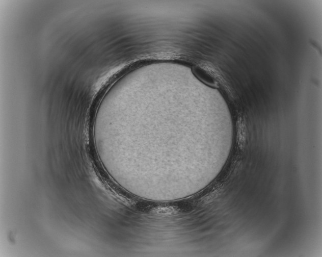 X0000100420536200806271509