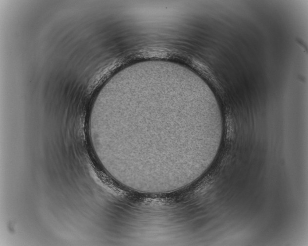 X0000100420538200806271509