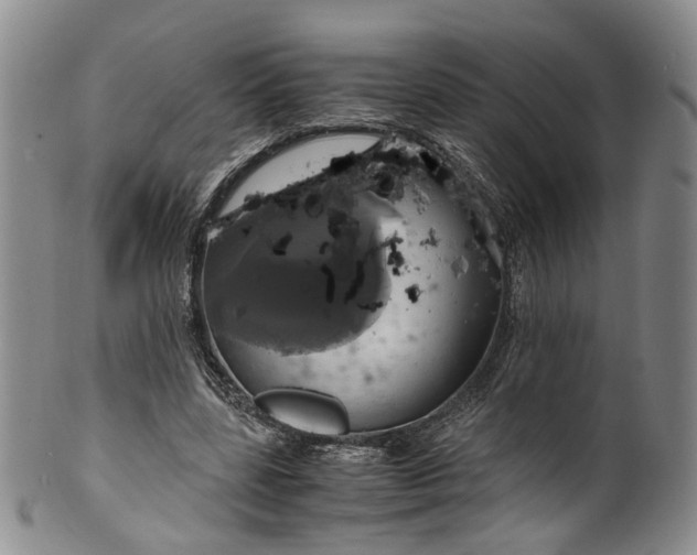 X0000100420539200806271509