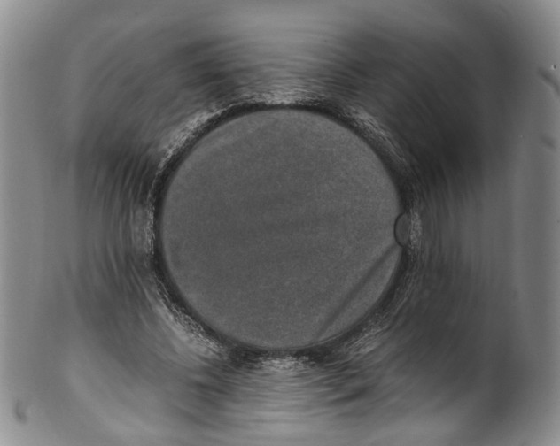 X0000100420540200806271509