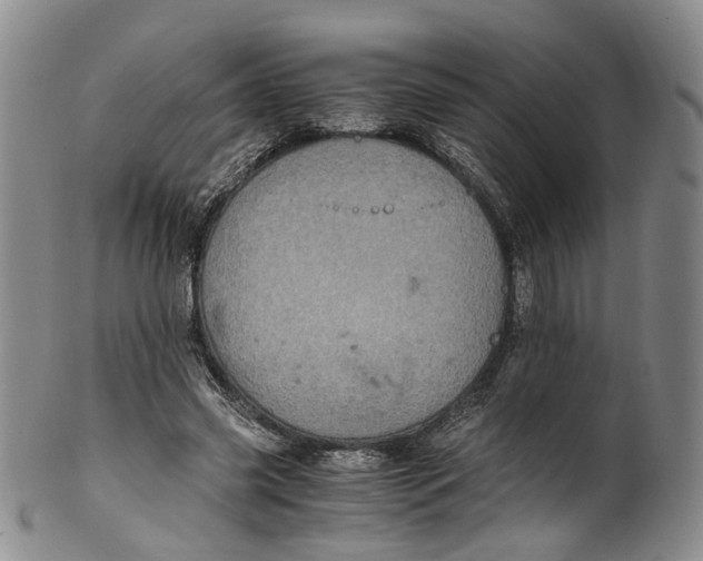 X0000100420541200806271509