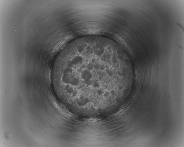 X0000100420542200806271509