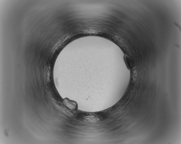 X0000100420544200806271509