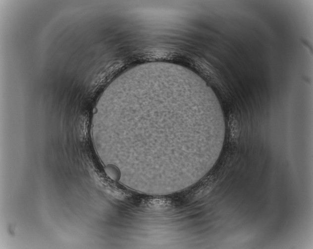 X0000100420546200806271509