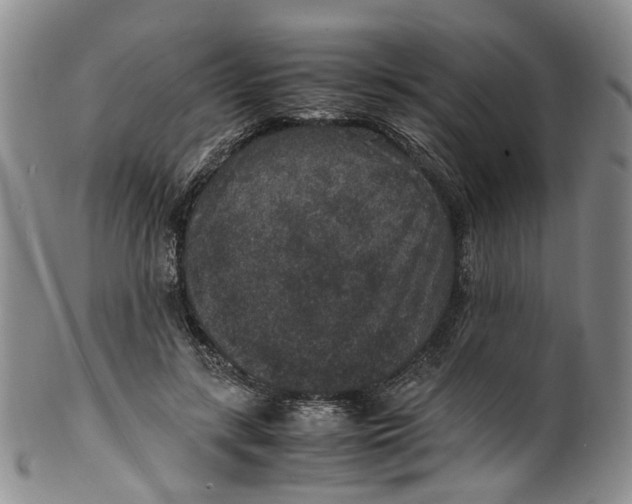 X0000100420547200806271509