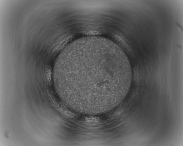 X0000100420549200806271509