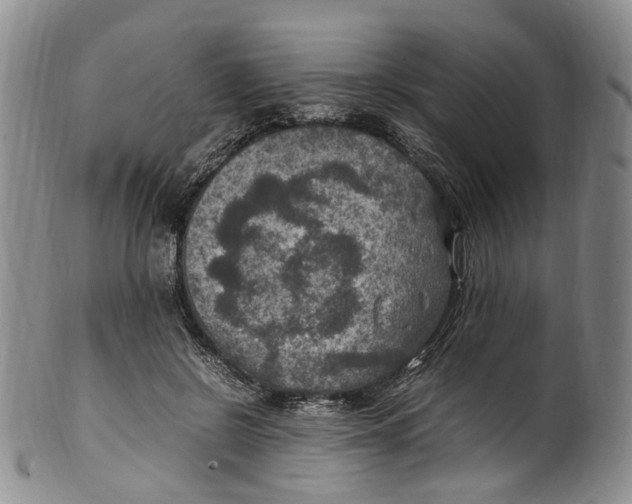 X0000100420550200806271509