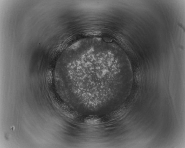 X0000100420551200806271509