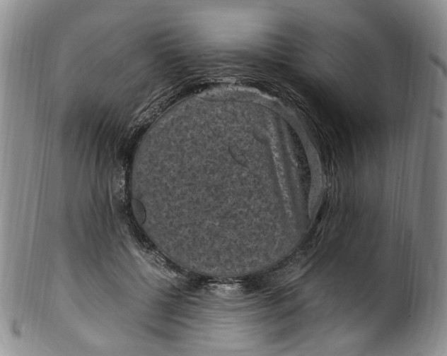 X0000100420552200806271509