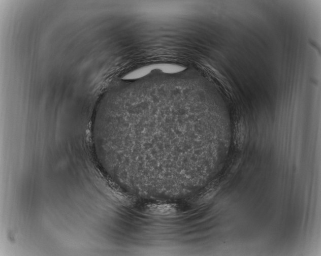 X0000100420553200806271509