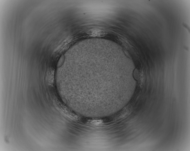 X0000100420554200806271509