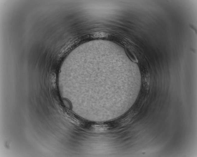 X0000100420556200806271509