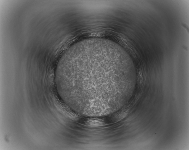 X0000100420557200806271509