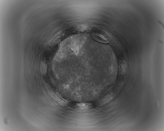 X0000100420558200806271509