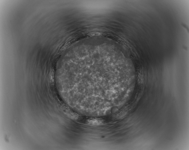 X0000100420561200806271509