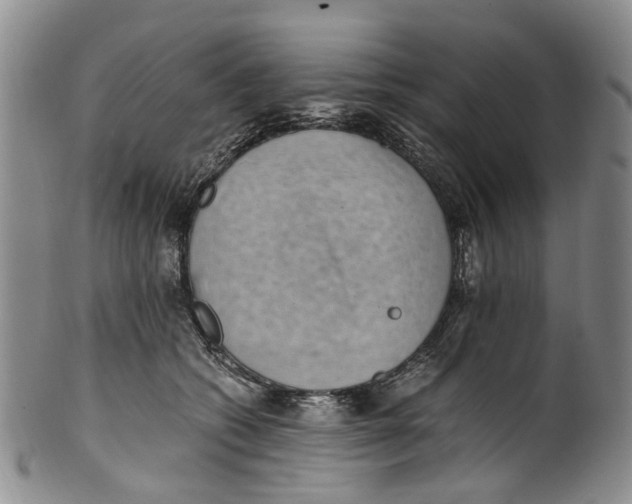 X0000100420562200806271509